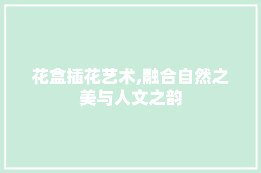 花盒插花艺术,融合自然之美与人文之韵