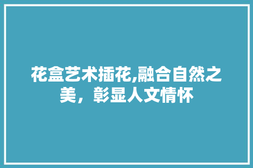 花盒艺术插花,融合自然之美，彰显人文情怀