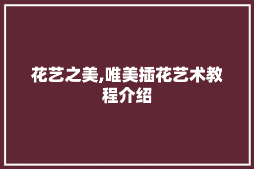 花艺之美,唯美插花艺术教程介绍