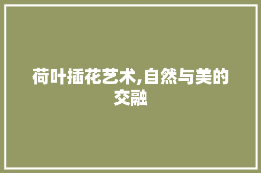 荷叶插花艺术,自然与美的交融