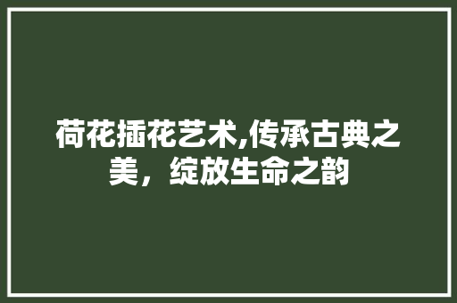 荷花插花艺术,传承古典之美，绽放生命之韵