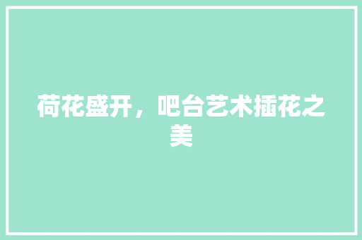 荷花盛开，吧台艺术插花之美