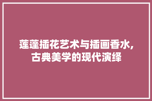 莲蓬插花艺术与插画香水,古典美学的现代演绎