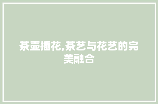 茶壶插花,茶艺与花艺的完美融合