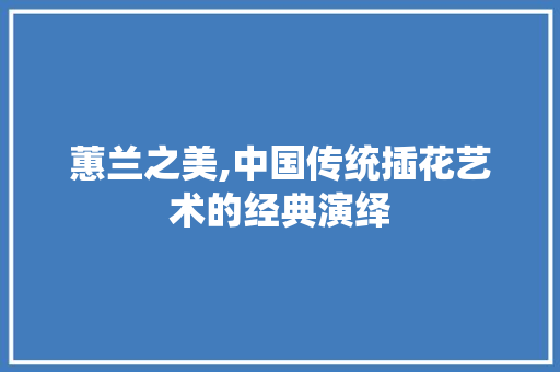 蕙兰之美,中国传统插花艺术的经典演绎