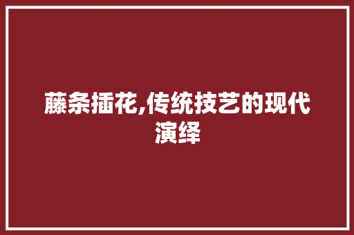 藤条插花,传统技艺的现代演绎