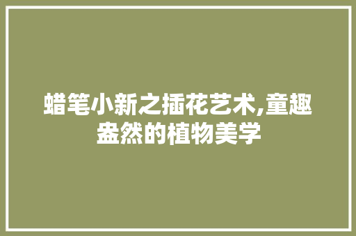 蜡笔小新之插花艺术,童趣盎然的植物美学 造型技术