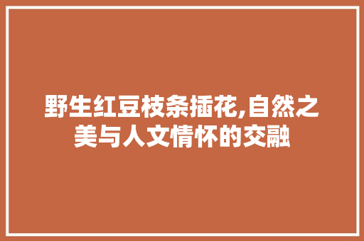 野生红豆枝条插花,自然之美与人文情怀的交融