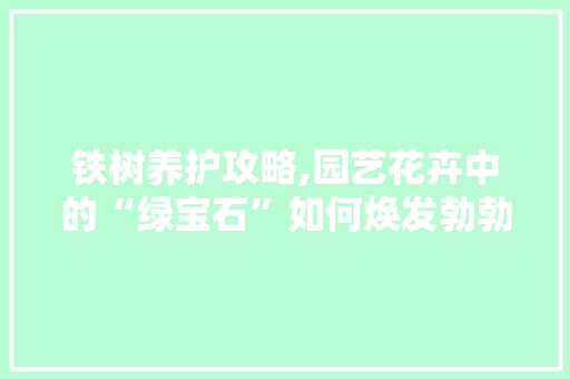 铁树养护攻略,园艺花卉中的“绿宝石”如何焕发勃勃生机