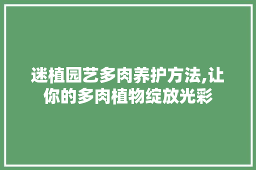迷植园艺多肉养护方法,让你的多肉植物绽放光彩