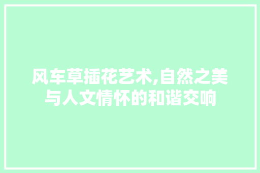 风车草插花艺术,自然之美与人文情怀的和谐交响 绿化类