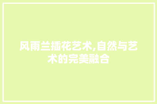 风雨兰插花艺术,自然与艺术的完美融合