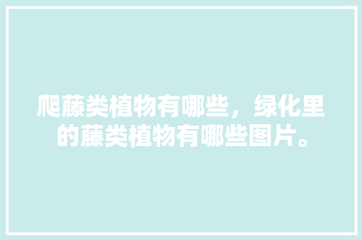 爬藤类植物有哪些，绿化里的藤类植物有哪些图片。