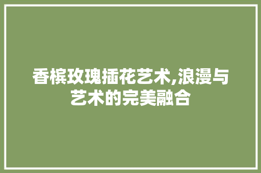 香槟玫瑰插花艺术,浪漫与艺术的完美融合