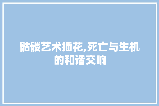 骷髅艺术插花,死亡与生机的和谐交响