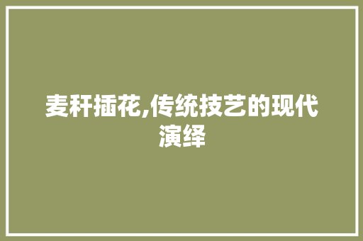 麦秆插花,传统技艺的现代演绎