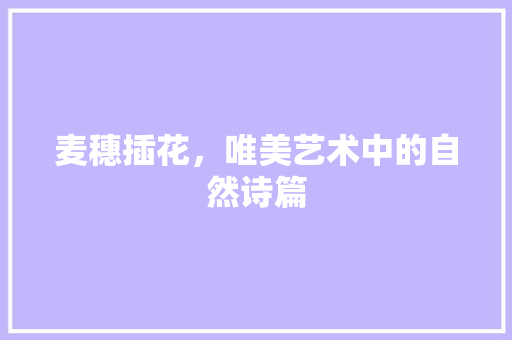 麦穗插花，唯美艺术中的自然诗篇