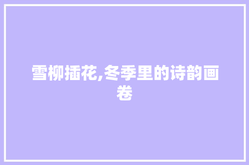 雪柳插花,冬季里的诗韵画卷