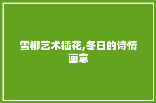雪柳艺术插花,冬日的诗情画意
