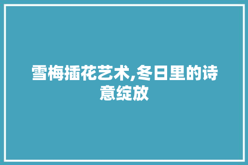 雪梅插花艺术,冬日里的诗意绽放