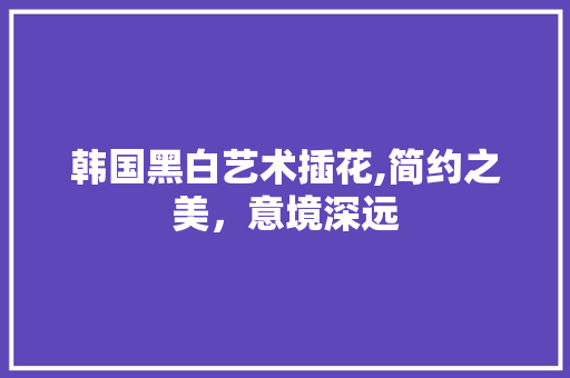 韩国黑白艺术插花,简约之美，意境深远