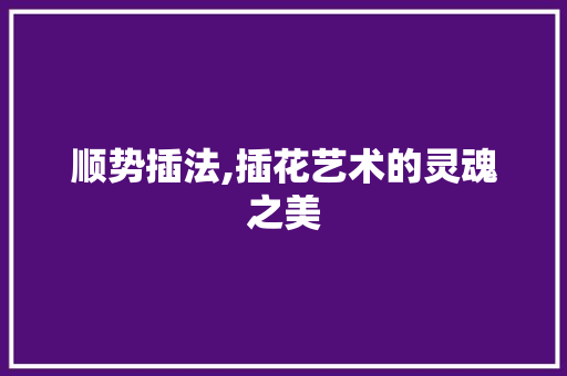 顺势插法,插花艺术的灵魂之美