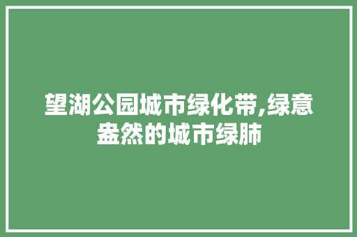 望湖公园城市绿化带,绿意盎然的城市绿肺