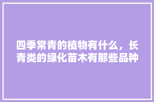 四季常青的植物有什么，长青类的绿化苗木有那些品种。