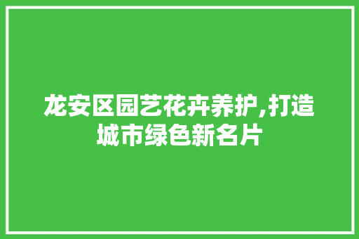 龙安区园艺花卉养护,打造城市绿色新名片 栽培技术