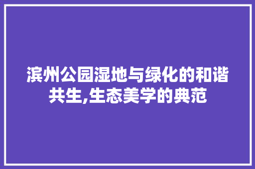 滨州公园湿地与绿化的和谐共生,生态美学的典范