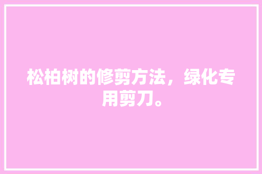松柏树的修剪方法，绿化专用剪刀。
