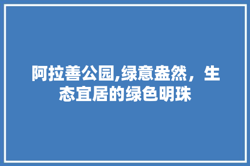 阿拉善公园,绿意盎然，生态宜居的绿色明珠