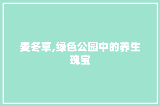 麦冬草,绿色公园中的养生瑰宝