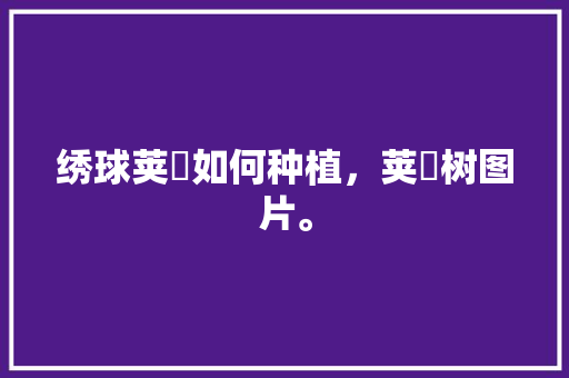 绣球荚蒾如何种植，荚蒾树图片。