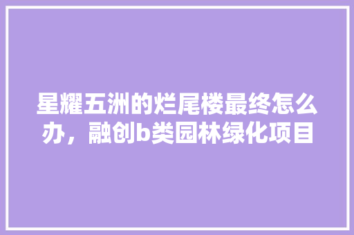 星耀五洲的烂尾楼最终怎么办，融创b类园林绿化项目。