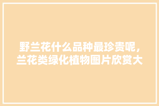 野兰花什么品种最珍贵呢，兰花类绿化植物图片欣赏大全。