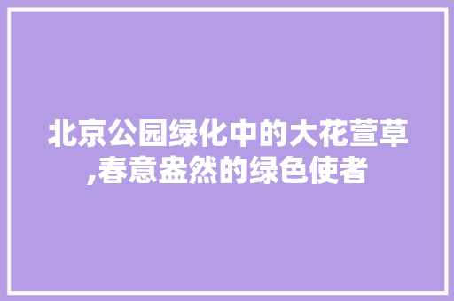 北京公园绿化中的大花萱草,春意盎然的绿色使者