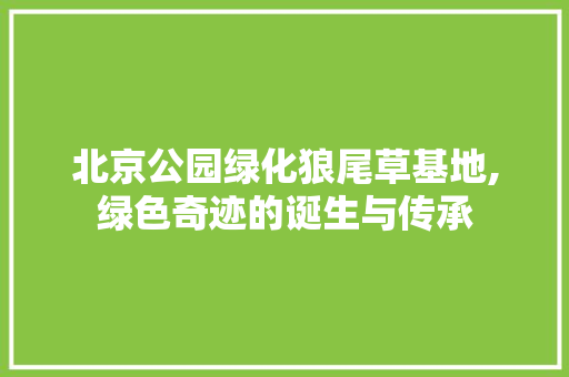 北京公园绿化狼尾草基地,绿色奇迹的诞生与传承