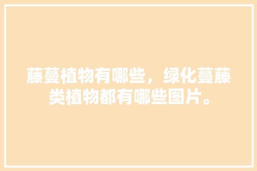 藤蔓植物有哪些，绿化蔓藤类植物都有哪些图片。