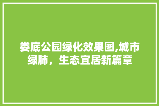 娄底公园绿化效果图,城市绿肺，生态宜居新篇章