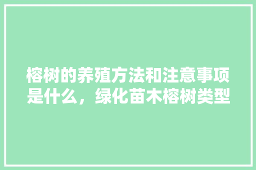榕树的养殖方法和注意事项是什么，绿化苗木榕树类型有哪些。