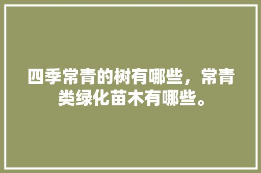 四季常青的树有哪些，常青类绿化苗木有哪些。