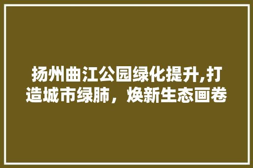 扬州曲江公园绿化提升,打造城市绿肺，焕新生态画卷 种子类