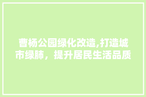 曹杨公园绿化改造,打造城市绿肺，提升居民生活品质