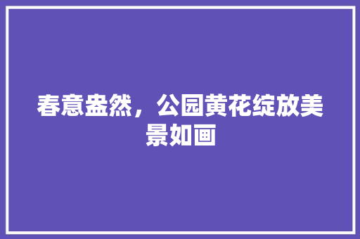 春意盎然，公园黄花绽放美景如画