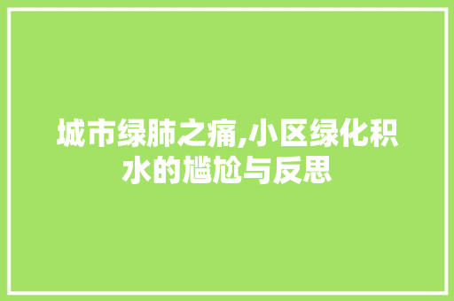 城市绿肺之痛,小区绿化积水的尴尬与反思