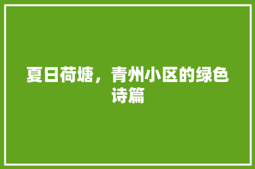 夏日荷塘，青州小区的绿色诗篇