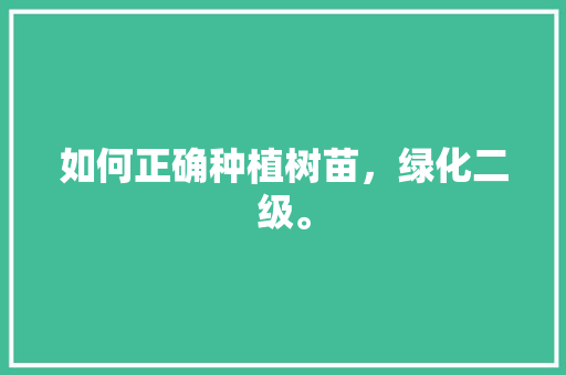 如何正确种植树苗，绿化二级。