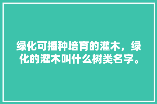绿化可播种培育的灌木，绿化的灌木叫什么树类名字。