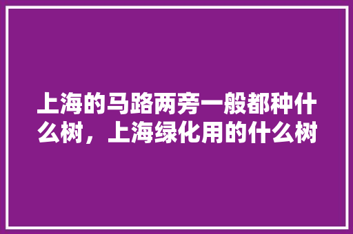 上海的马路两旁一般都种什么树，上海绿化用的什么树类树种。